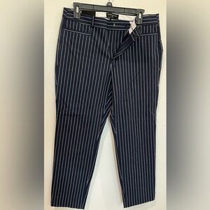 Banana Republic Factory Navy Striped Cropped Pants